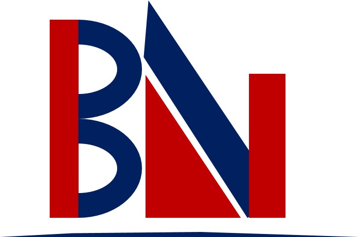 BCS Consultancy